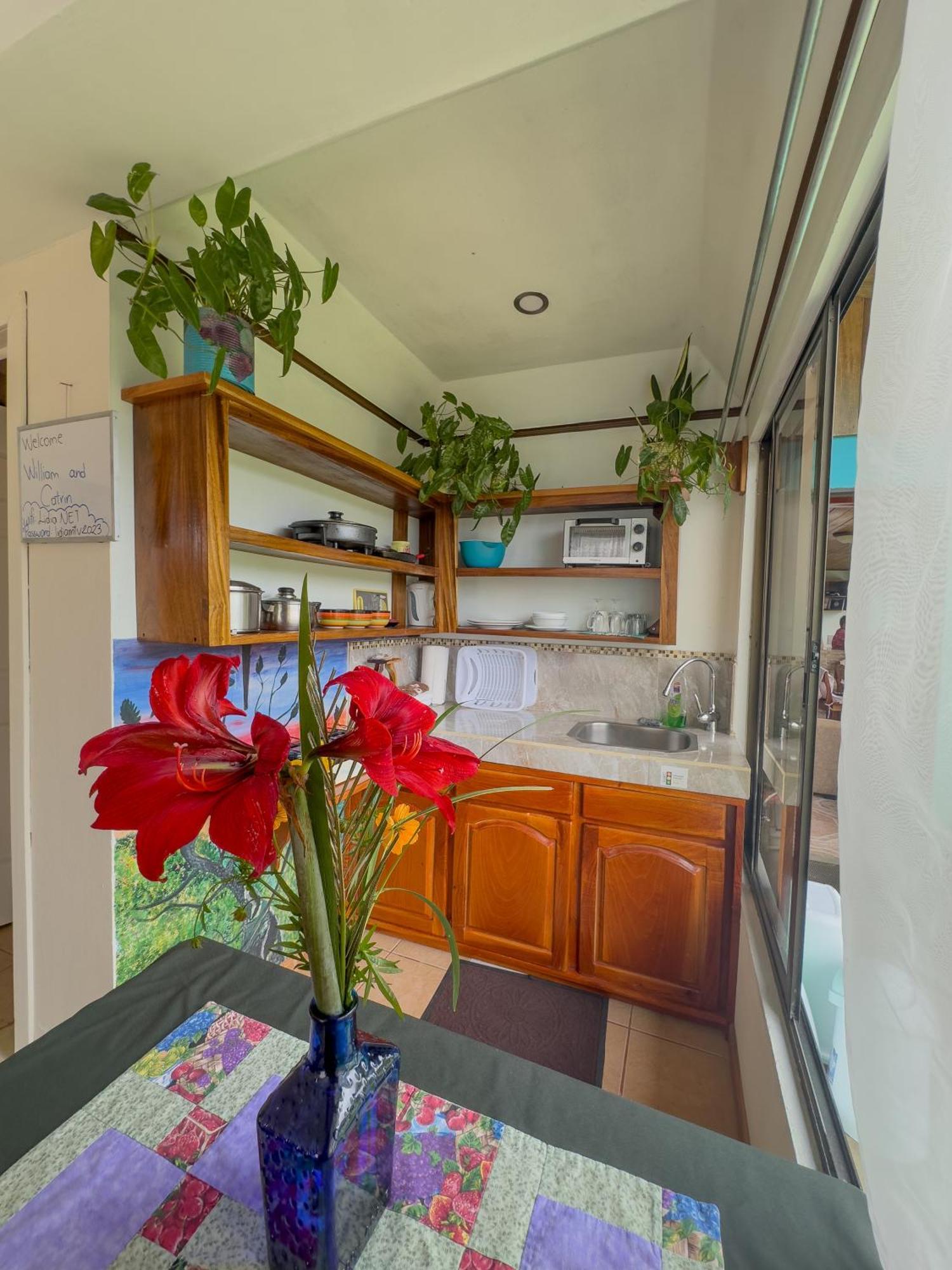 Lidia'S Mountain View Vacation Homes Monteverde Exterior foto
